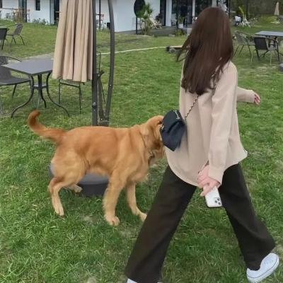 苏亚梦游仙境